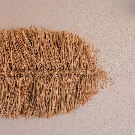 Cactus Mare * Golfo Aranci