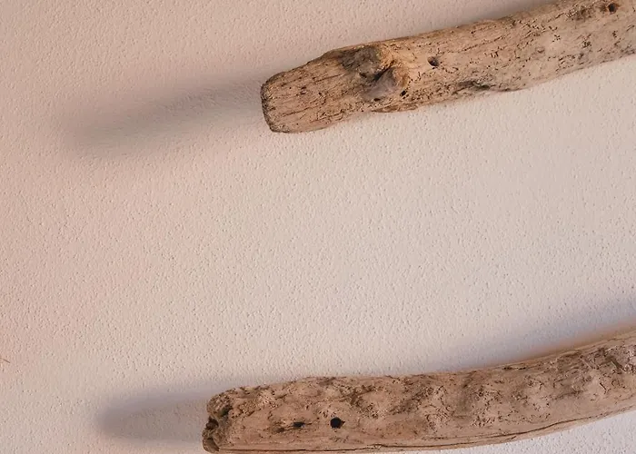 Cactus Mare Pensjonat