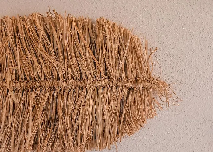 Cactus Mare * Golfo Aranci