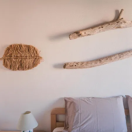 Cactus Mare Golfo Aranci